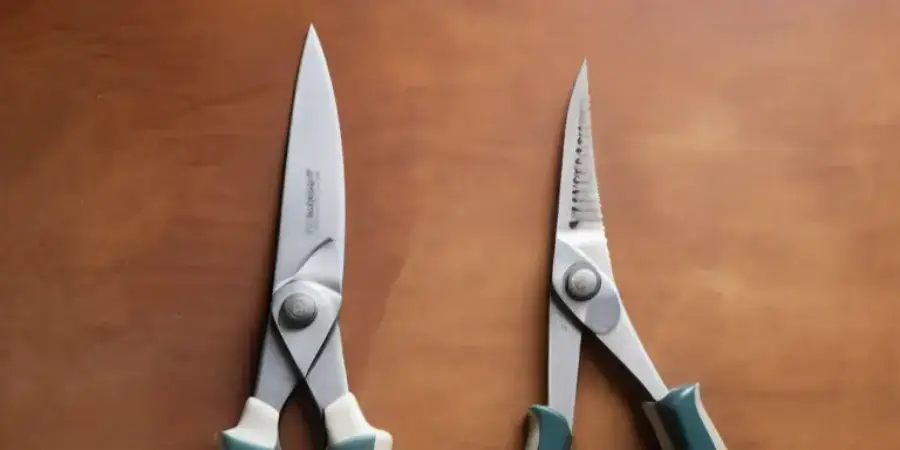 Poultry Shears vs Kitchen Shears: Spotting the Contrast